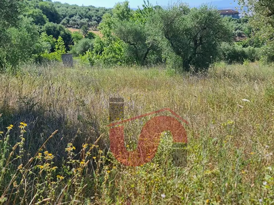 Immagine 3 di Terreno agricolo in vendita  in Contrada Mosti snc a Benevento