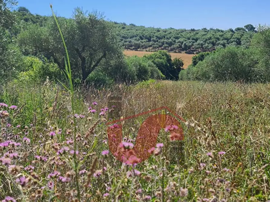 Immagine 1 di Terreno agricolo in vendita  in Contrada Mosti a Benevento