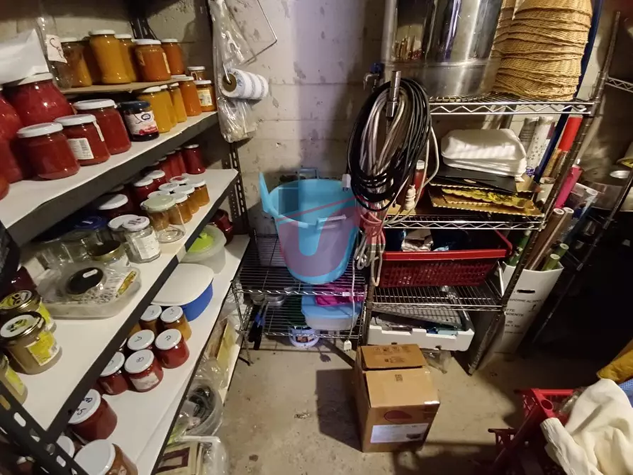 Immagine 54 di Casa indipendente in vendita  in Via Cesine snc a Calvi