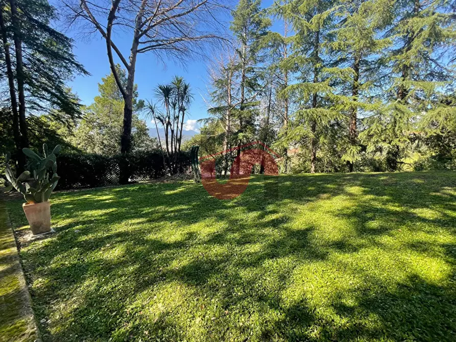 Immagine 66 di Villa in vendita  in Via ferinando bozza a Benevento