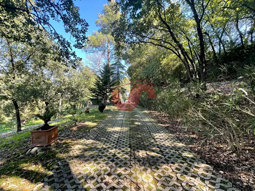 Immagine 71 di Villa in vendita  in Via ferinando bozza a Benevento