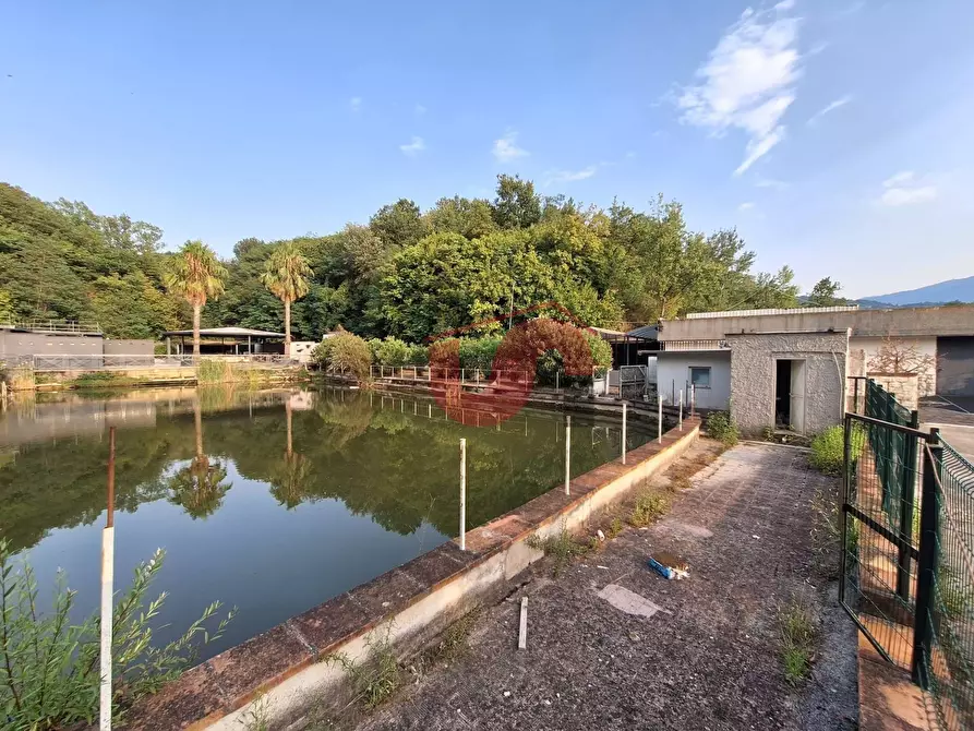 Immagine 21 di Locale commerciale in vendita  in C.DA TRESSANTI a Ceppaloni