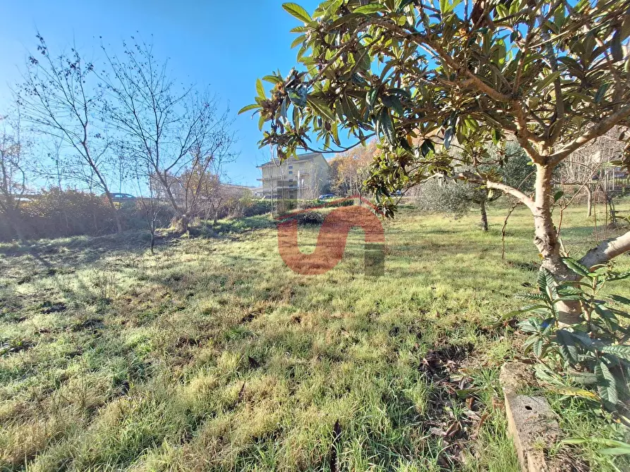 Immagine 19 di Casa indipendente in vendita  in Via Bachelet a Benevento