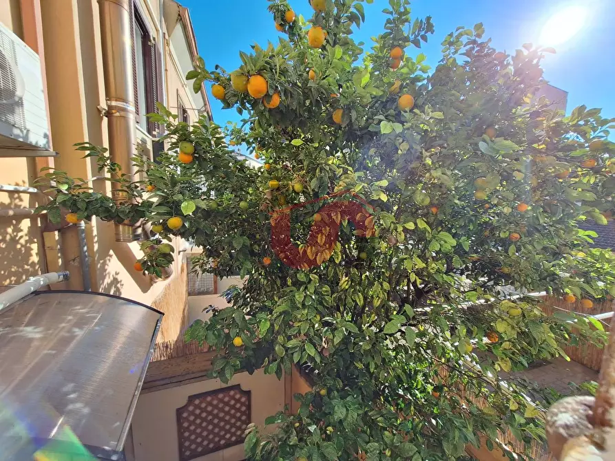 Immagine 8 di Appartamento in affitto  in Via Umberto I a Benevento