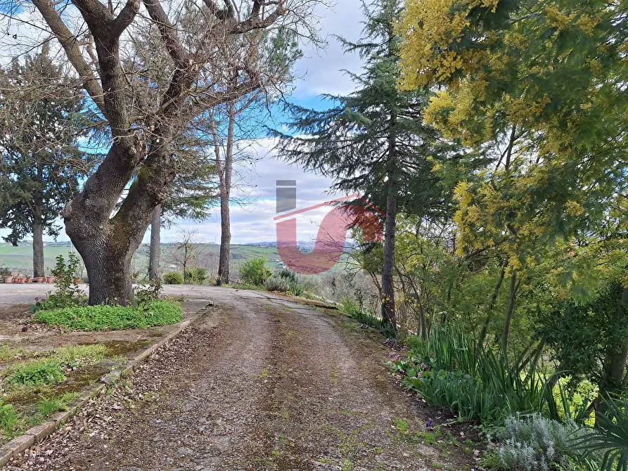 Immagine 5 di Casa semindipendente in vendita  in Contrada Palmenta a Apollosa