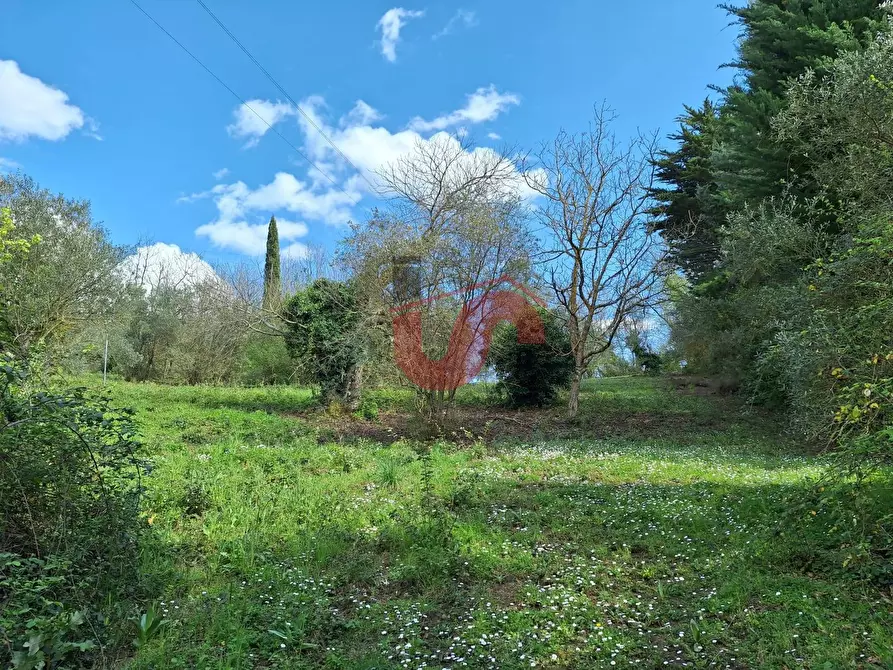 Immagine 8 di Terreno residenziale in vendita  in Via Santa Croce 11 a Arpaise