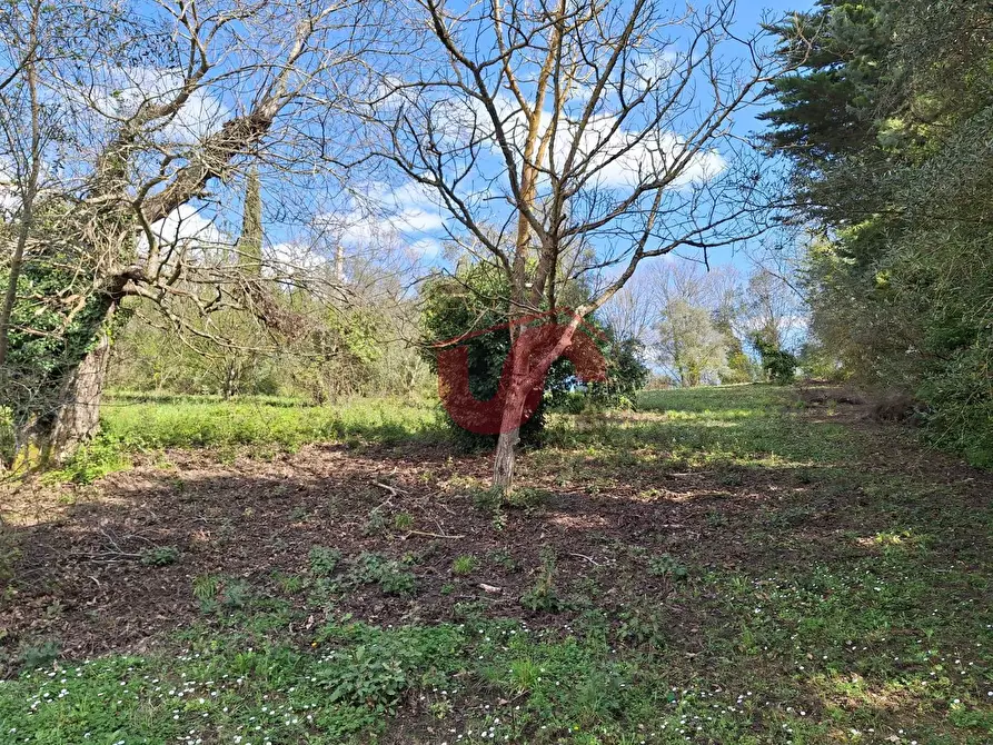 Immagine 9 di Terreno residenziale in vendita  in Via Santa Croce 11 a Arpaise