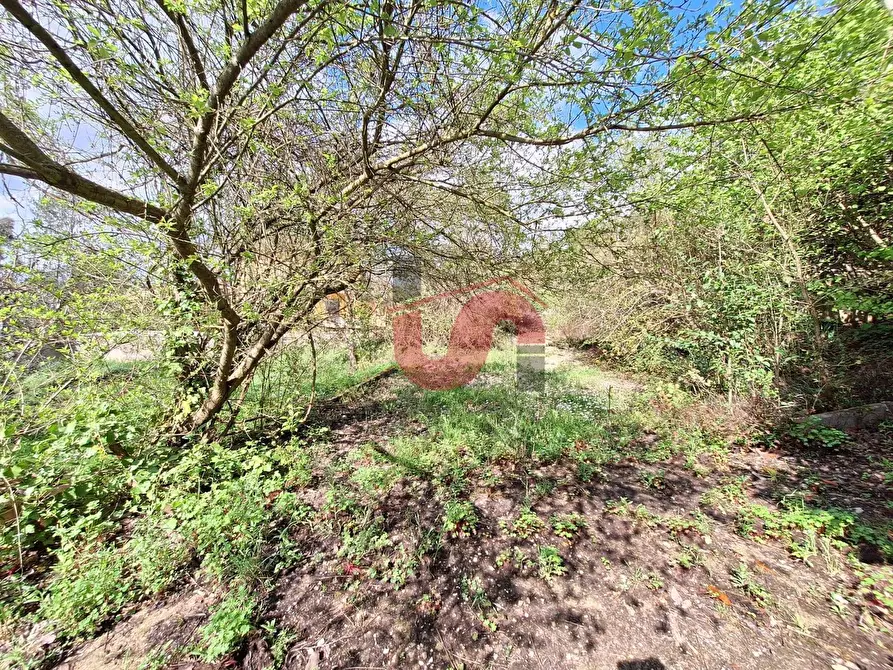 Immagine 10 di Terreno residenziale in vendita  in Via Santa Croce 11 a Arpaise