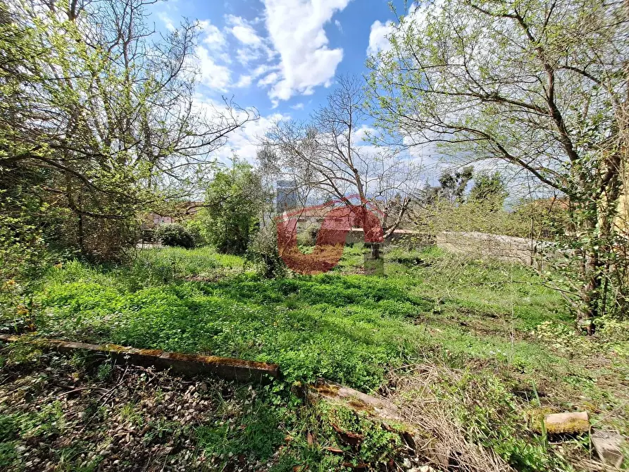 Immagine 12 di Terreno residenziale in vendita  in Via Santa Croce 11 a Arpaise