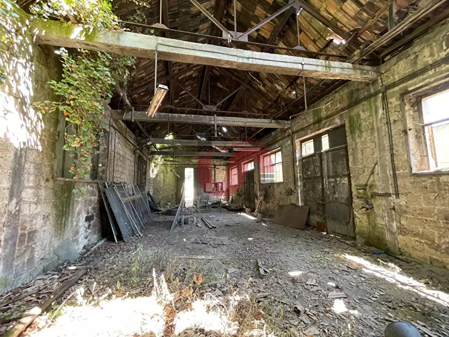 Immagine 13 di Magazzino in vendita  in Via Cellarulo a Benevento