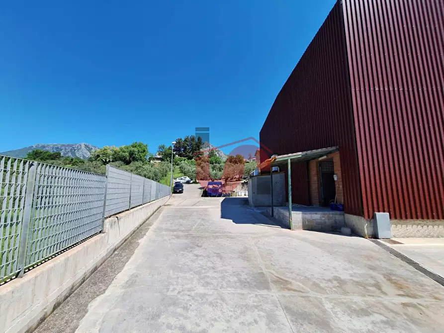 Immagine 15 di Capannone industriale in vendita  in Via Sala a Apollosa