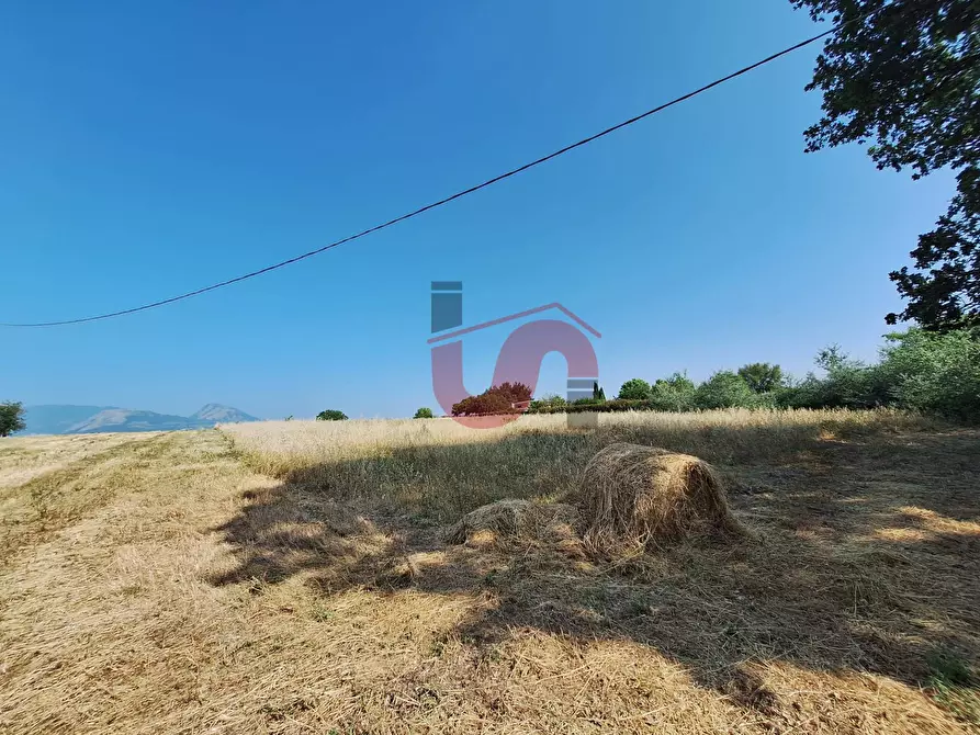 Immagine 1 di Terreno agricolo in vendita  in Contrada le murate a Benevento