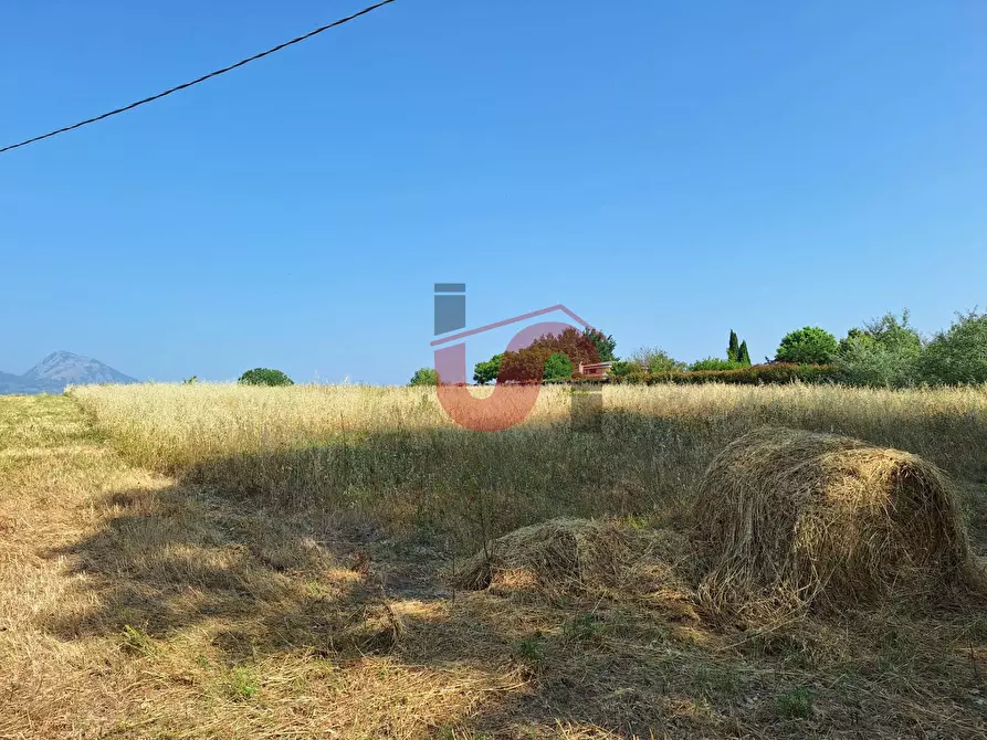 Immagine 2 di Terreno agricolo in vendita  in Contrada le murate a Benevento