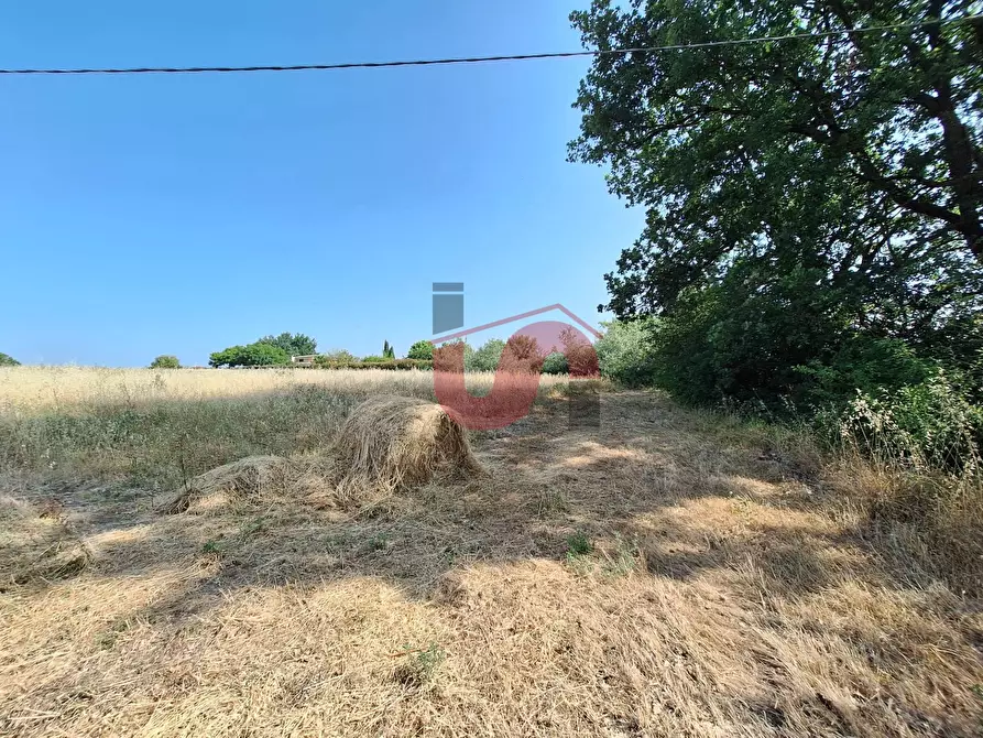 Immagine 5 di Terreno agricolo in vendita  in Contrada le murate a Benevento