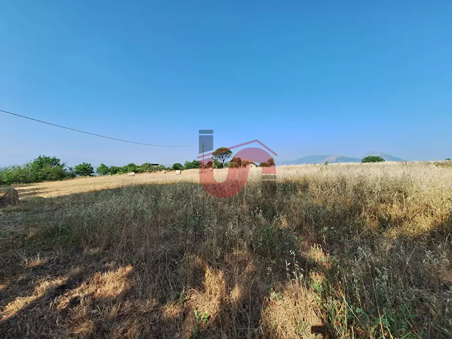 Immagine 3 di Terreno agricolo in vendita  in Contrada le murate a Benevento