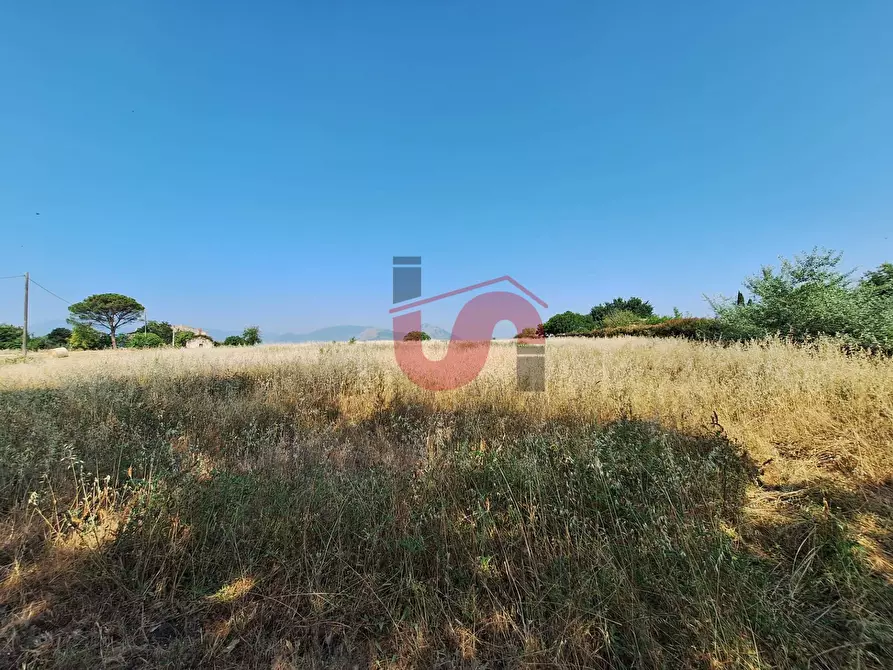 Immagine 4 di Terreno agricolo in vendita  in Contrada le murate a Benevento