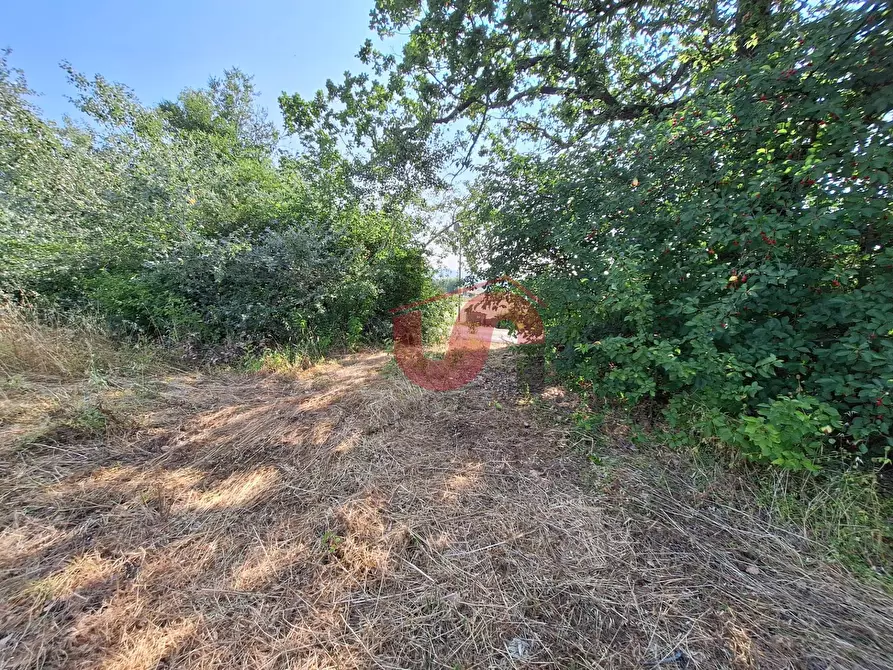 Immagine 6 di Terreno agricolo in vendita  in Contrada le murate a Benevento