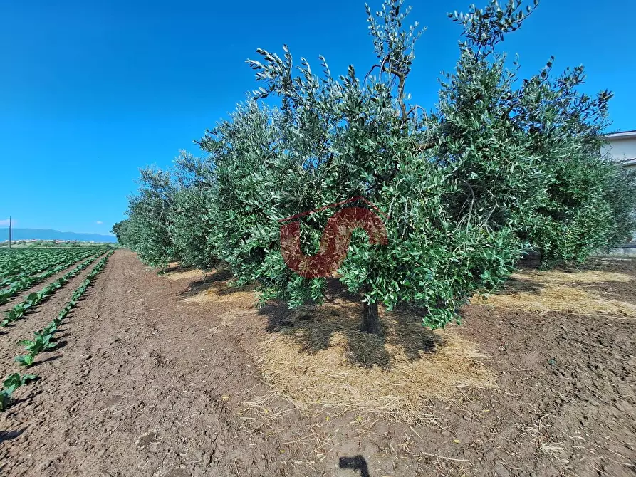 Immagine 23 di Casa semindipendente in vendita  in Contrada Piano Cappelle a Benevento