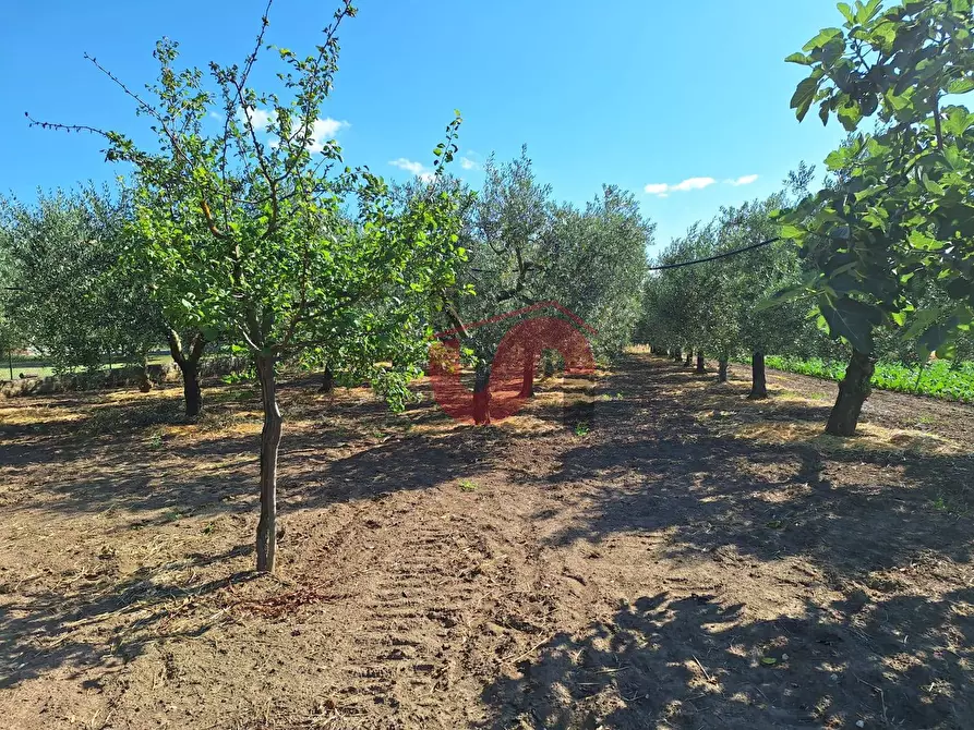 Immagine 24 di Casa semindipendente in vendita  in Contrada Piano Cappelle a Benevento