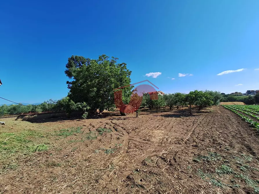 Immagine 8 di Casa semindipendente in vendita  in Contrada Piano Cappelle a Benevento