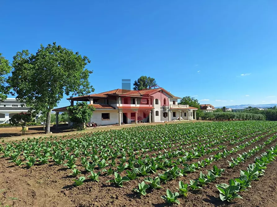 Immagine 28 di Casa semindipendente in vendita  in Contrada Piano Cappelle a Benevento