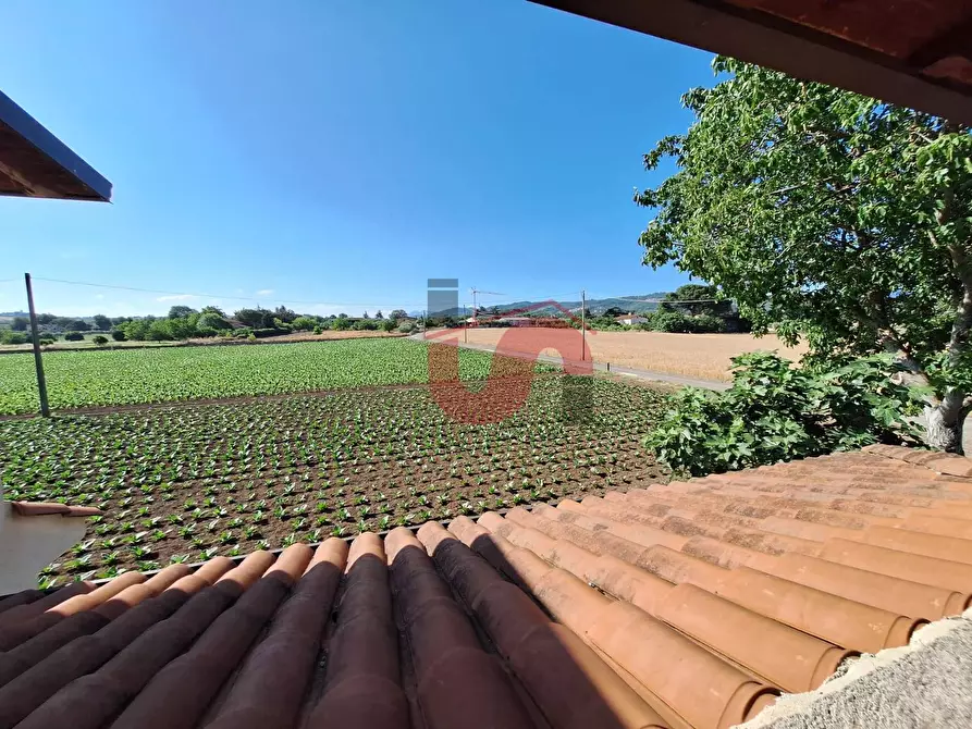 Immagine 29 di Casa semindipendente in vendita  in Contrada Piano Cappelle a Benevento