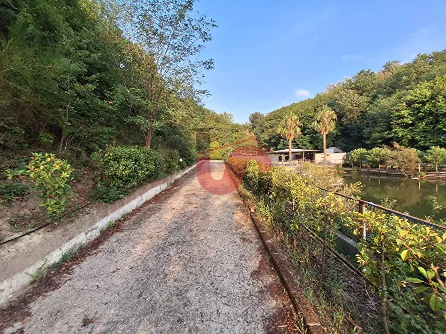 Immagine 8 di Locale commerciale in vendita  in C.DA TRESSANTI a Ceppaloni