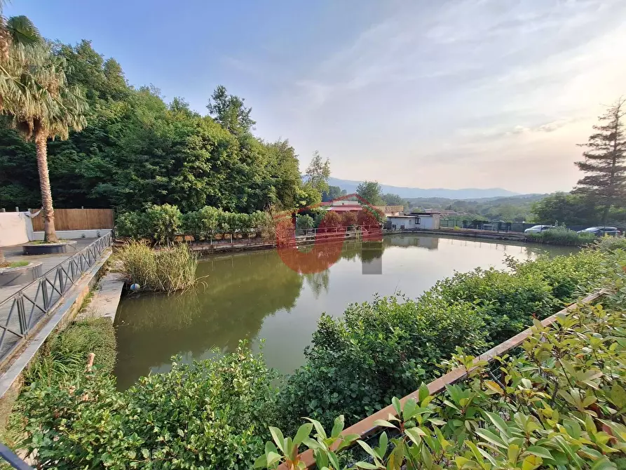 Immagine 9 di Locale commerciale in vendita  in C.DA TRESSANTI a Ceppaloni