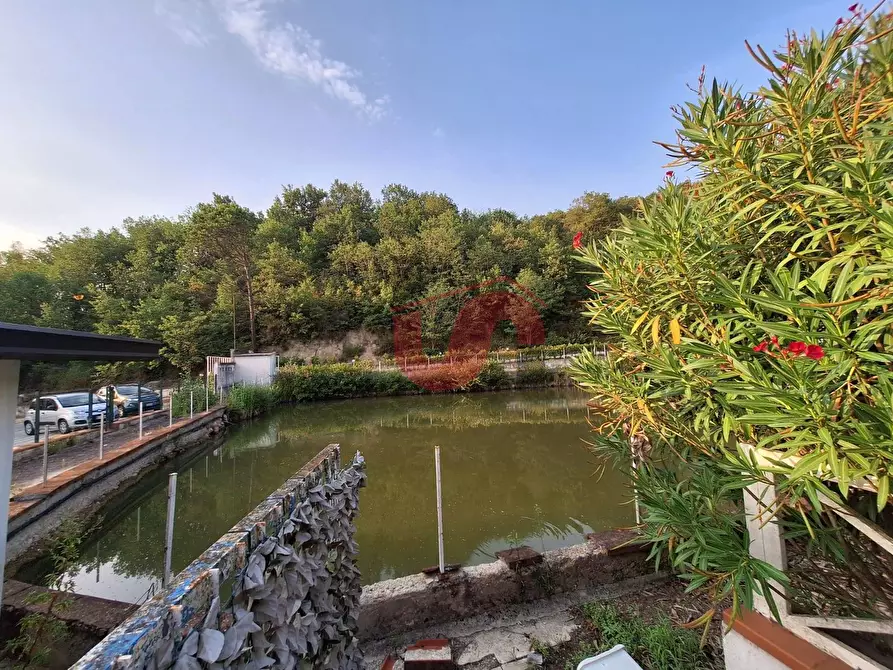 Immagine 10 di Locale commerciale in vendita  in C.DA TRESSANTI a Ceppaloni