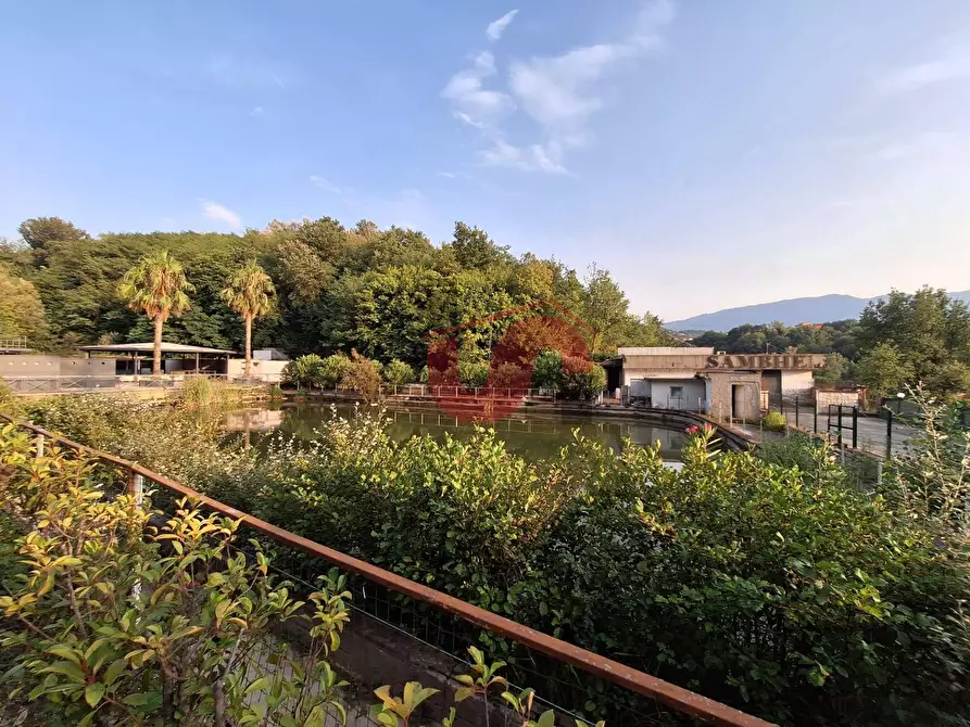 Immagine 12 di Locale commerciale in vendita  in C.DA TRESSANTI a Ceppaloni