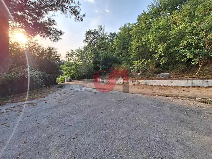 Immagine 19 di Locale commerciale in vendita  in C.DA TRESSANTI a Ceppaloni