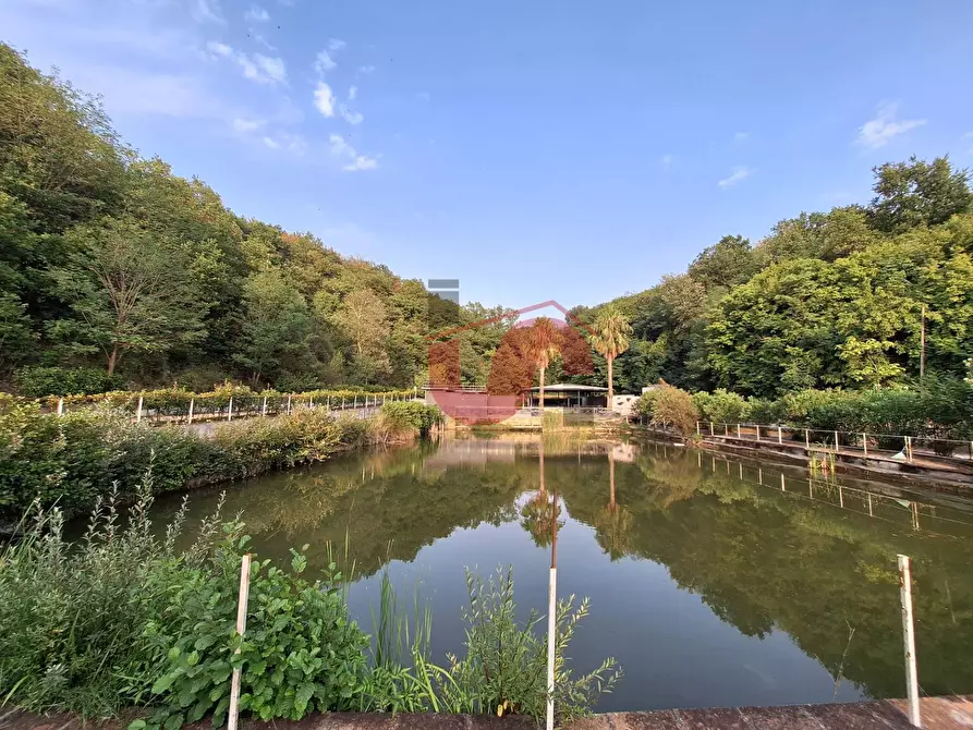 Immagine 22 di Locale commerciale in vendita  in C.DA TRESSANTI a Ceppaloni