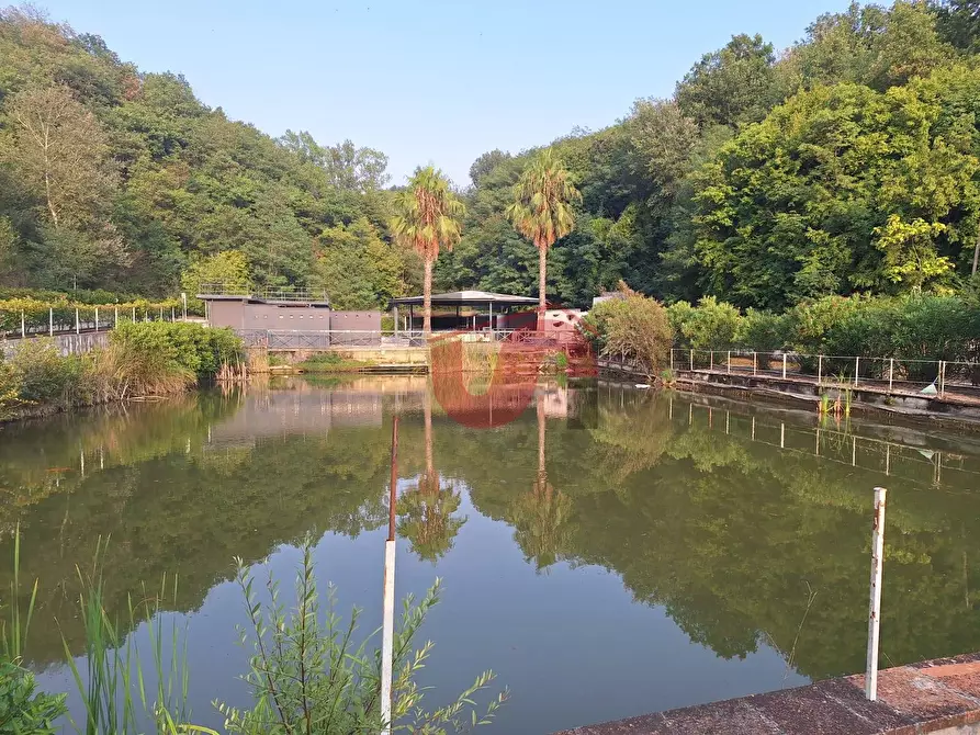 Immagine 24 di Locale commerciale in vendita  in C.DA TRESSANTI a Ceppaloni