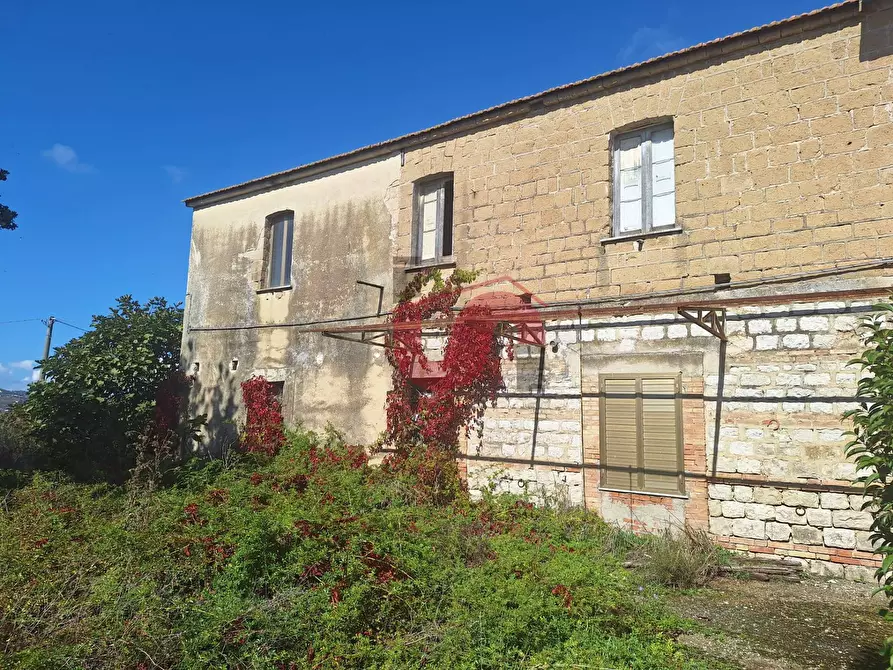 Immagine 6 di Locale commerciale in vendita  in Contrada olivola a Benevento