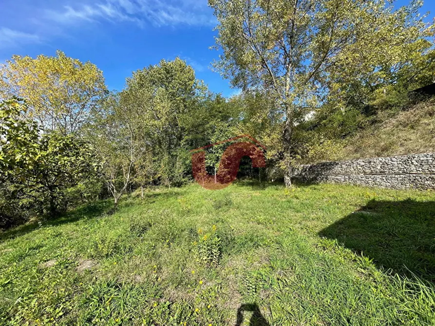 Immagine 14 di Casa indipendente in vendita  in C.da Bosco Perrotta San Nicola Manfredi a Benevento