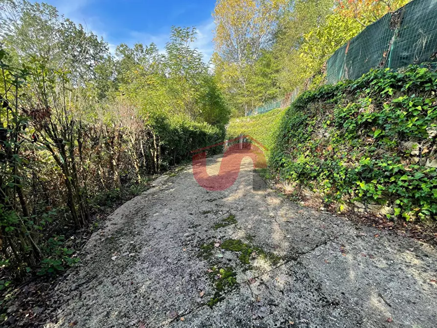 Immagine 12 di Casa indipendente in vendita  in C.da Bosco Perrotta San Nicola Manfredi a Benevento