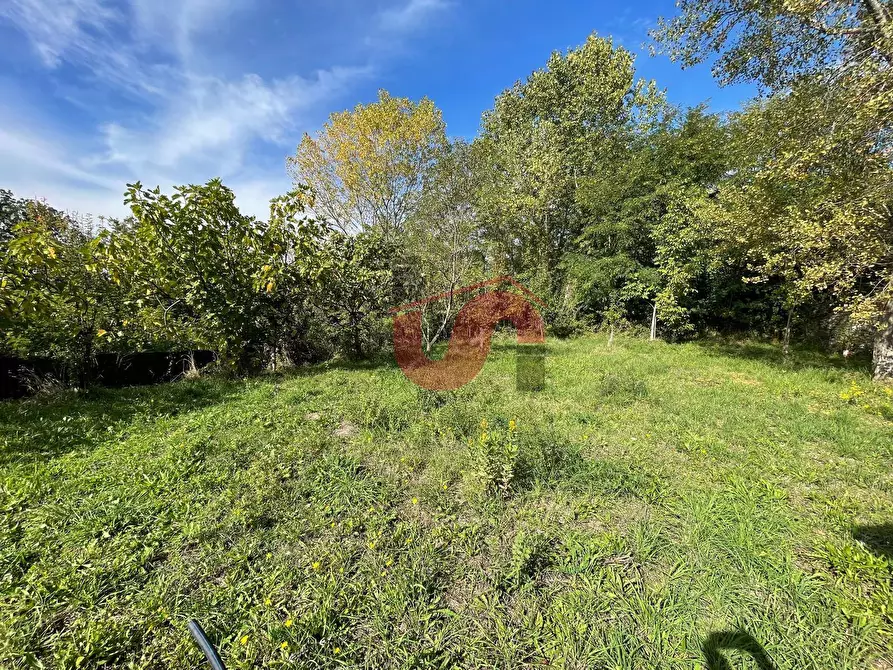Immagine 15 di Casa indipendente in vendita  in C.da Bosco Perrotta San Nicola Manfredi a Benevento