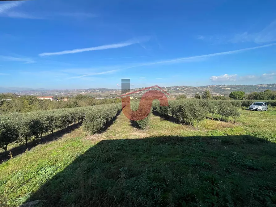 Immagine 16 di Baita in affitto  in C.da Cancelleria a Benevento