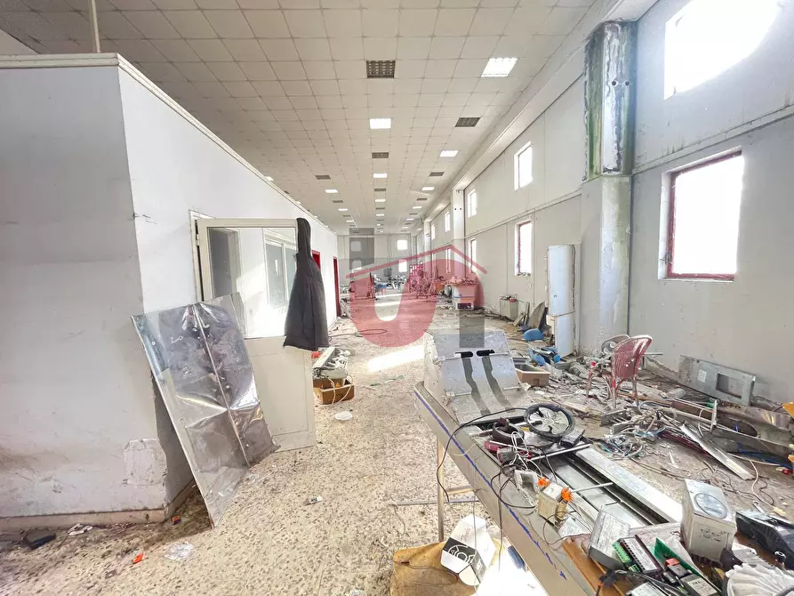 Immagine 10 di Capannone industriale in vendita  in Via Torre Palazzo (Torrecuso) a Apollosa