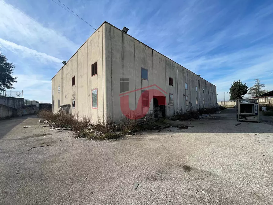 Immagine 13 di Capannone industriale in vendita  in Via Torre Palazzo (Torrecuso) a Apollosa