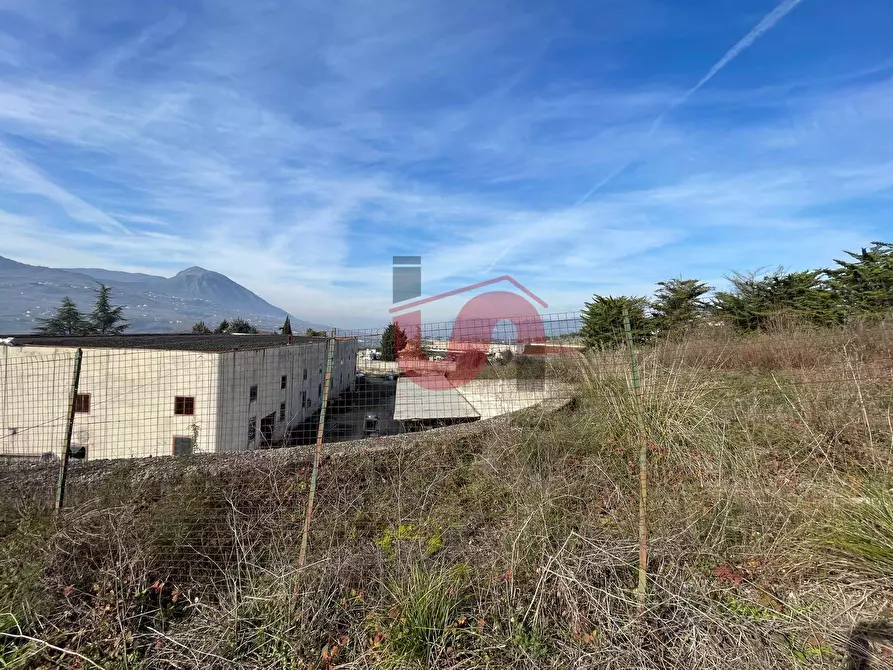 Immagine 16 di Capannone industriale in vendita  in Via Torre Palazzo (Torrecuso) a Apollosa