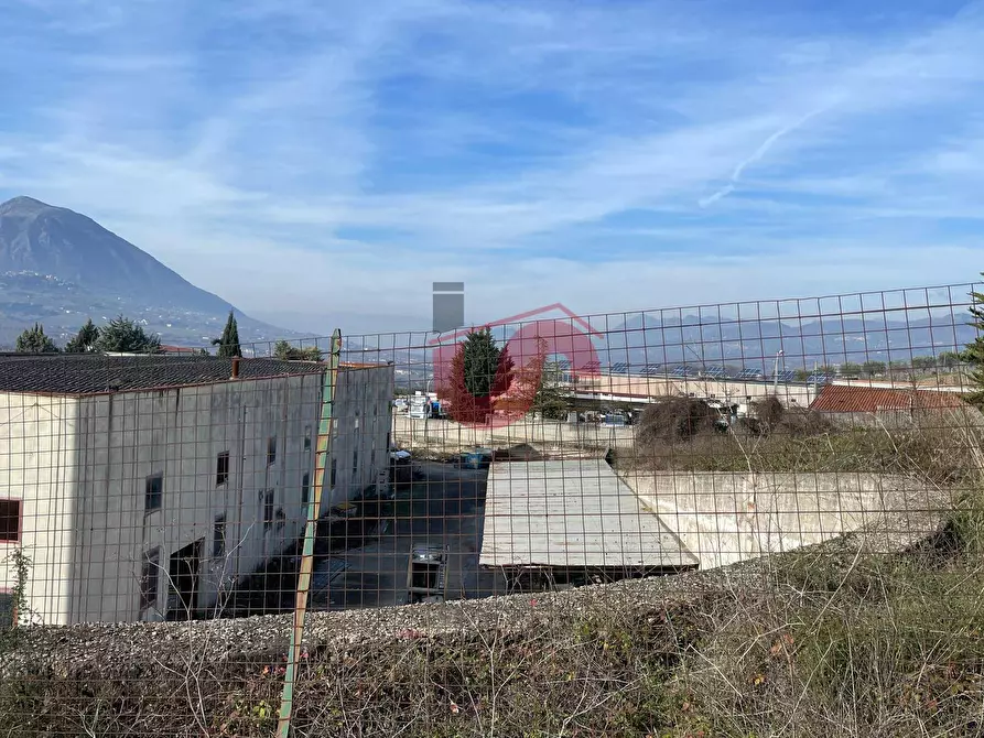 Immagine 19 di Capannone industriale in vendita  in Via Torre Palazzo (Torrecuso) a Apollosa