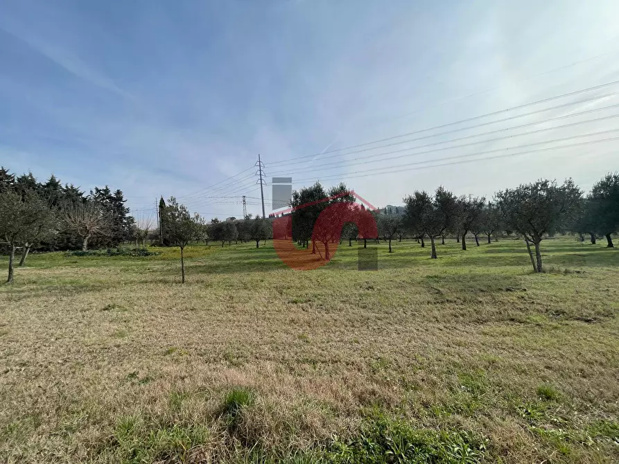 Immagine 3 di Terreno residenziale in vendita  in Via Molise a Benevento