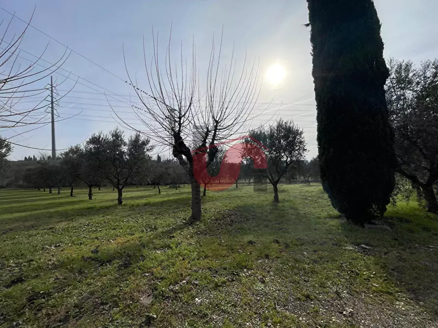 Immagine 4 di Terreno residenziale in vendita  in Via Molise a Benevento