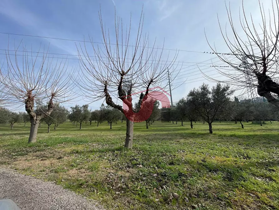 Immagine 9 di Terreno residenziale in vendita  in Via Molise a Benevento