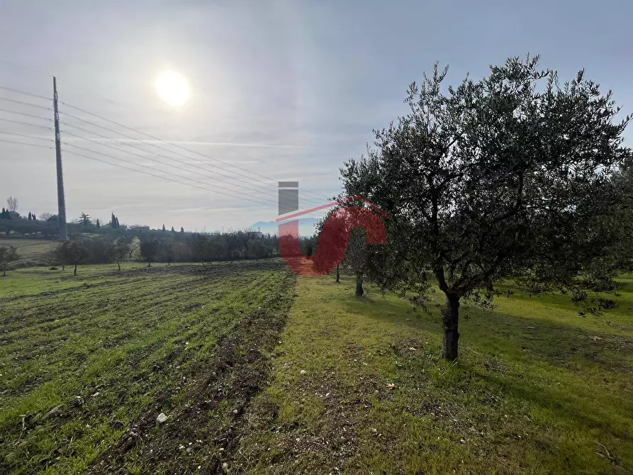 Immagine 11 di Terreno residenziale in vendita  in Via Molise a Benevento