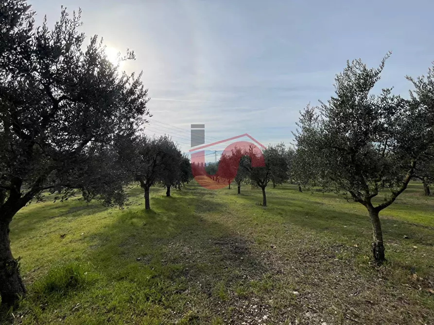 Immagine 13 di Terreno residenziale in vendita  in Via Molise a Benevento