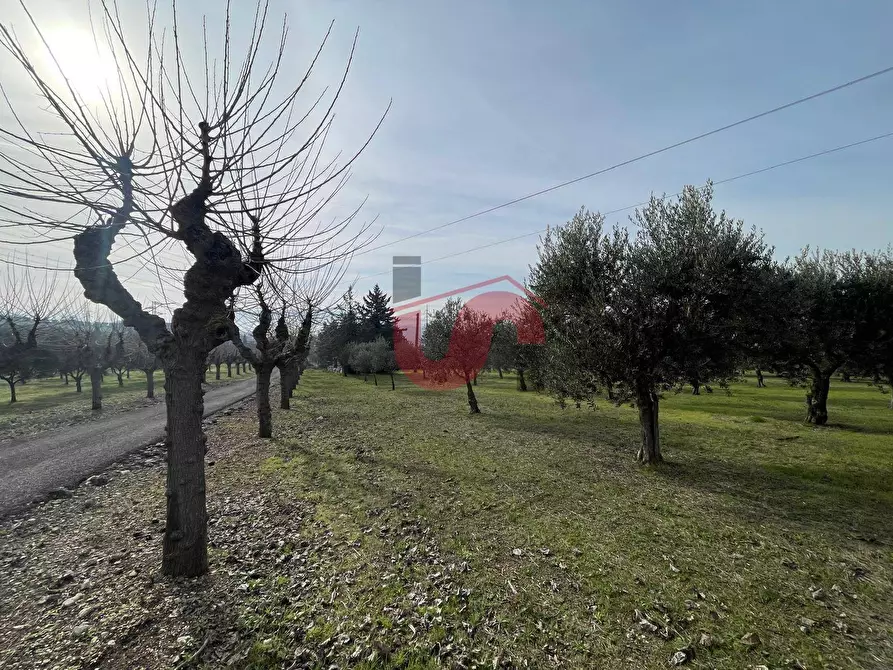 Immagine 14 di Terreno residenziale in vendita  in Via Molise a Benevento