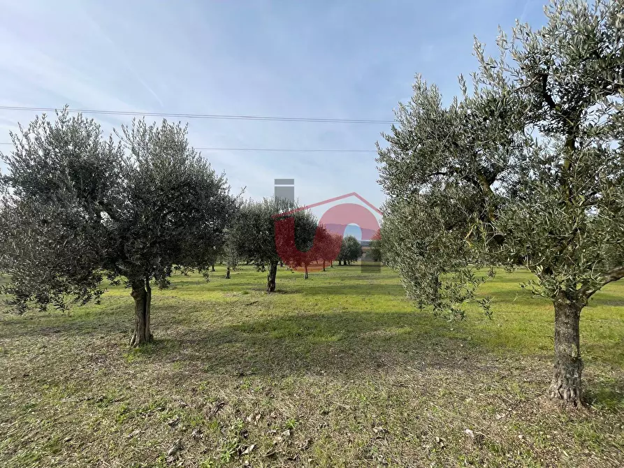 Immagine 15 di Terreno residenziale in vendita  in Via Molise a Benevento