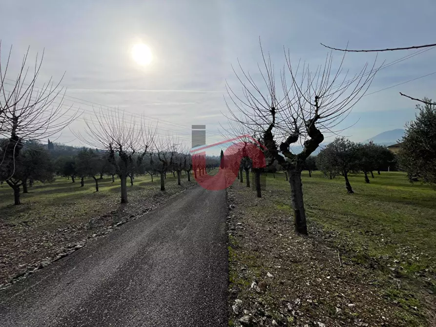 Immagine 16 di Terreno residenziale in vendita  in Via Molise a Benevento